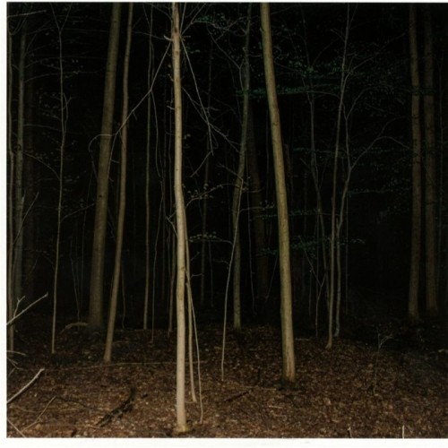 Express Rising - Fixed Rope II