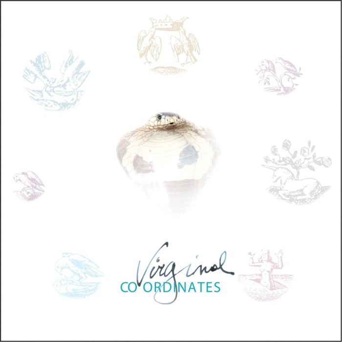 Eyvind Kang - Virginal Coordinates