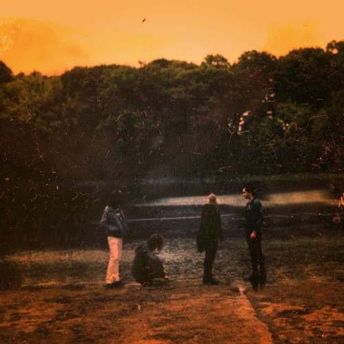 Far-Out Fangtooth - Pure & Disinterested