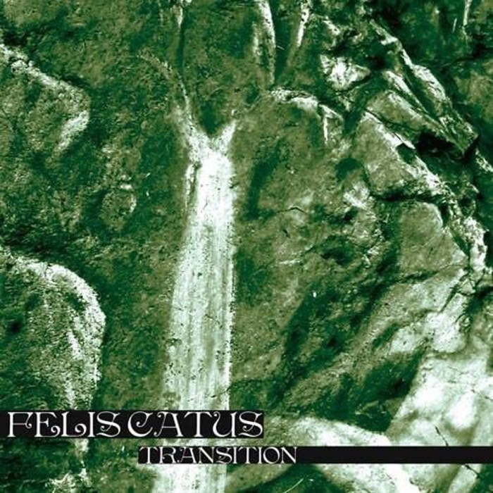Felis Catus - Transition