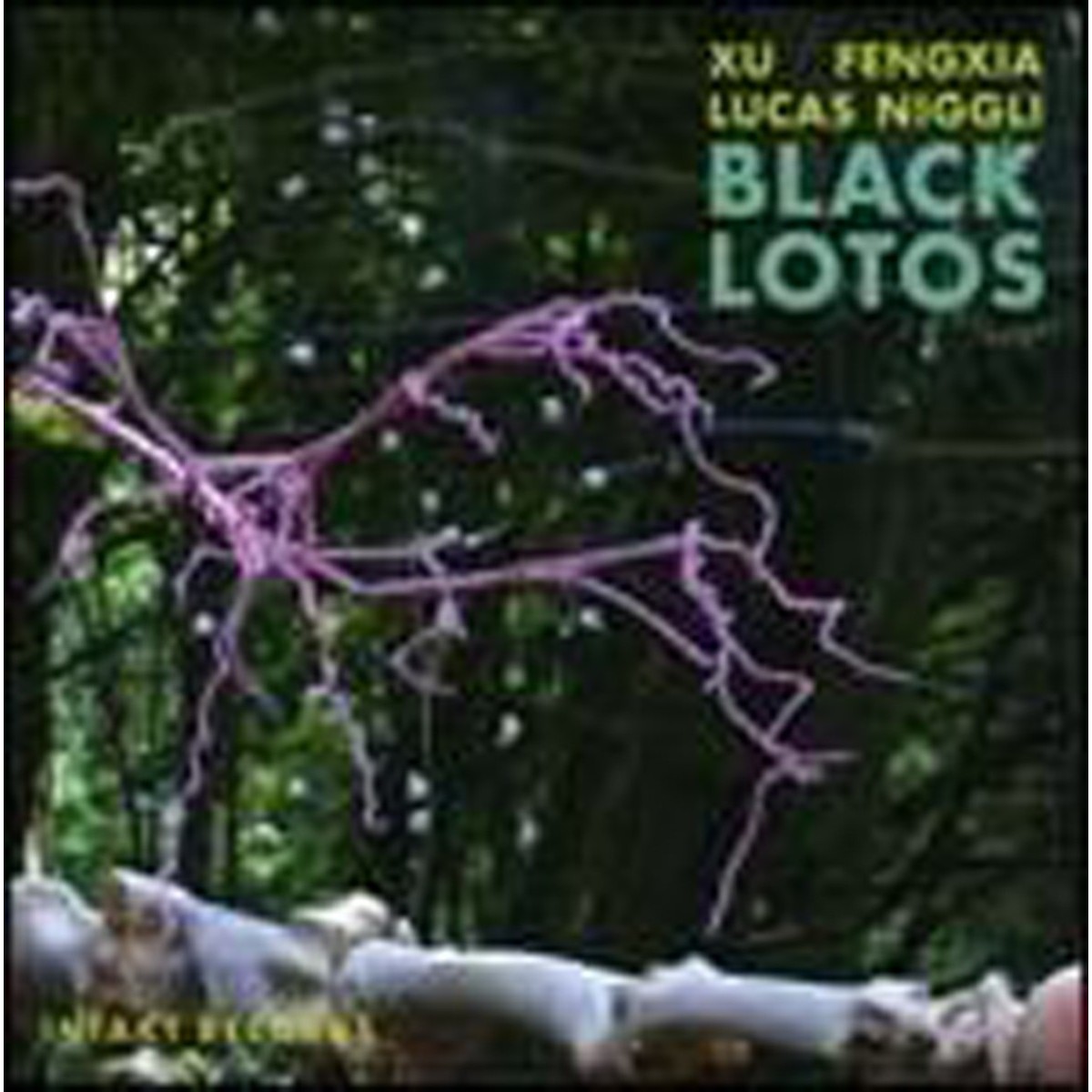Xu Fengxia & Lucas Niggli - Black Lotos