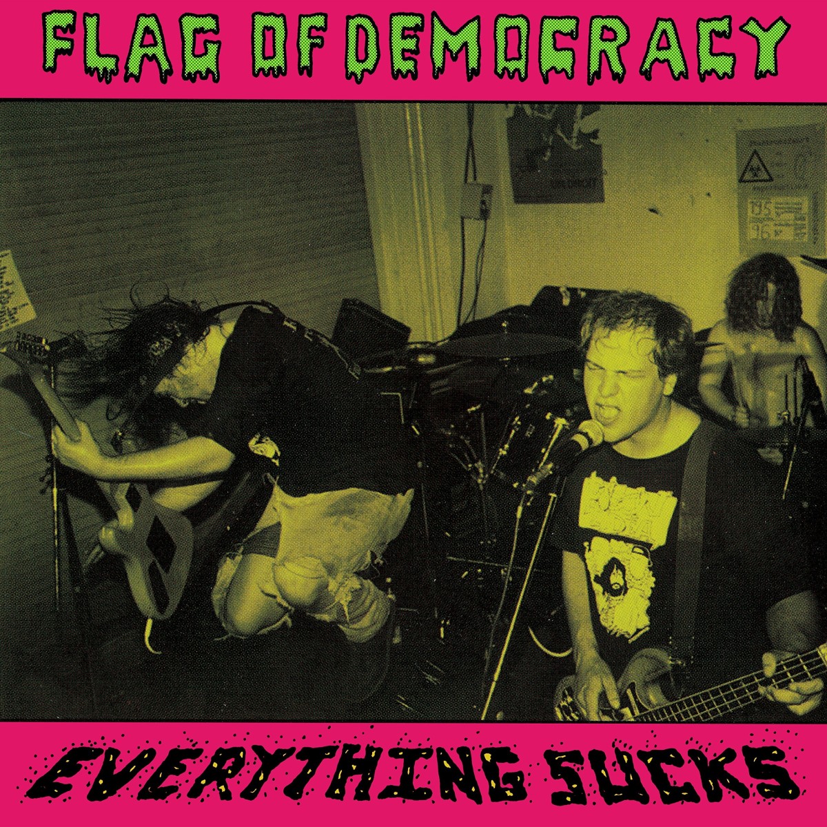Flag Of Democracy (FOD) - Everything Sucks