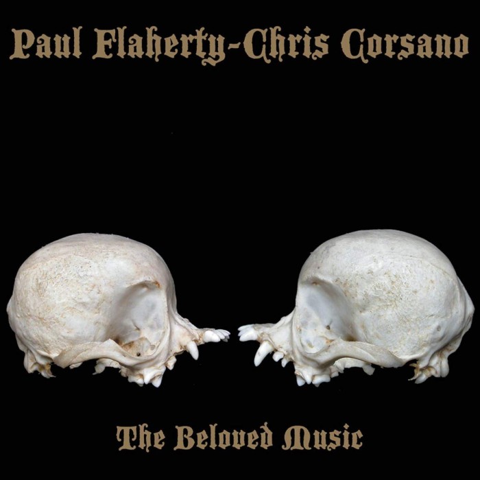 Paul Flaherty & Chris Corsano - Beloved Music