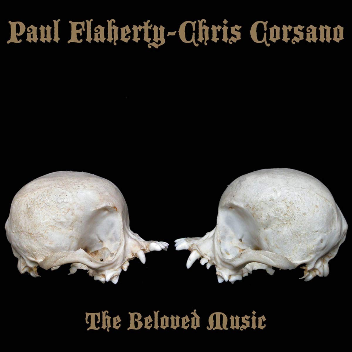 Paul Flaherty & Chris Corsano - Beloved Music