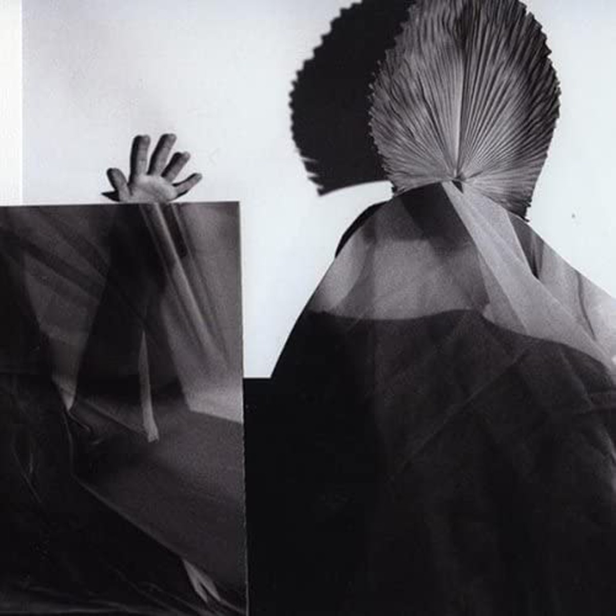 Flies+Flies - Bad Crab Hand