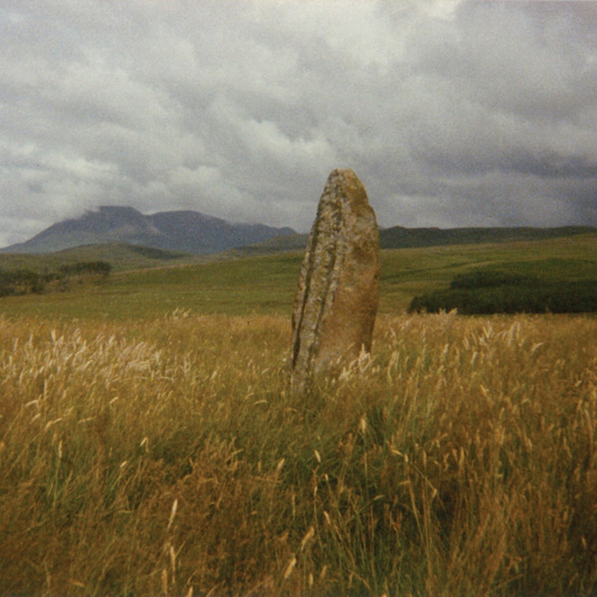 Flying Saucer Attack - In Search Of Spaces