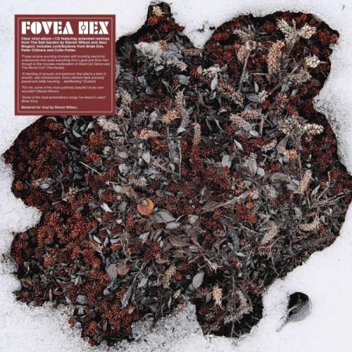 Fovea Hex - The Salt Garden (Landscaped) - Clear Vinyl
