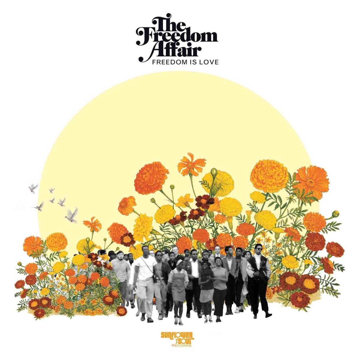 Freedom Affair - Freedom Is Love (Random Color Vinyl Ltd To 1000)