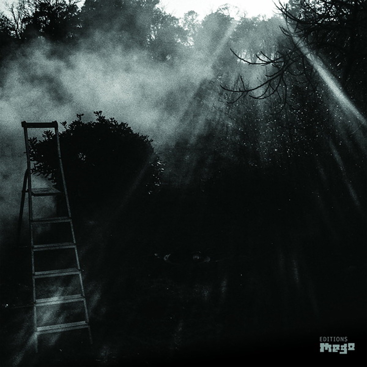 Reinhold Friedl & Eryck Abecassis - Animal Electrique