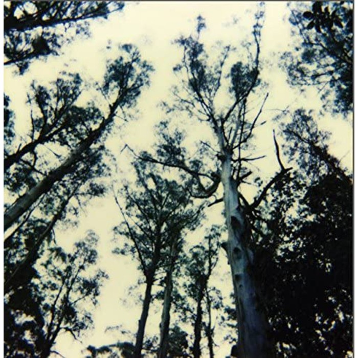 Frightening Lights - Frightening Lights