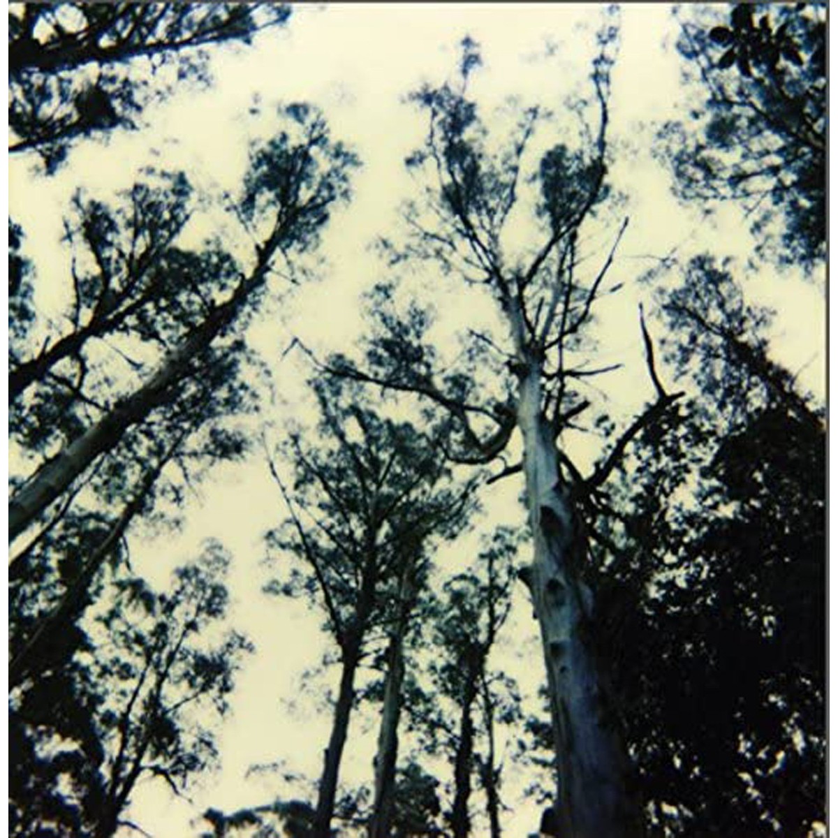 Frightening Lights - Frightening Lights