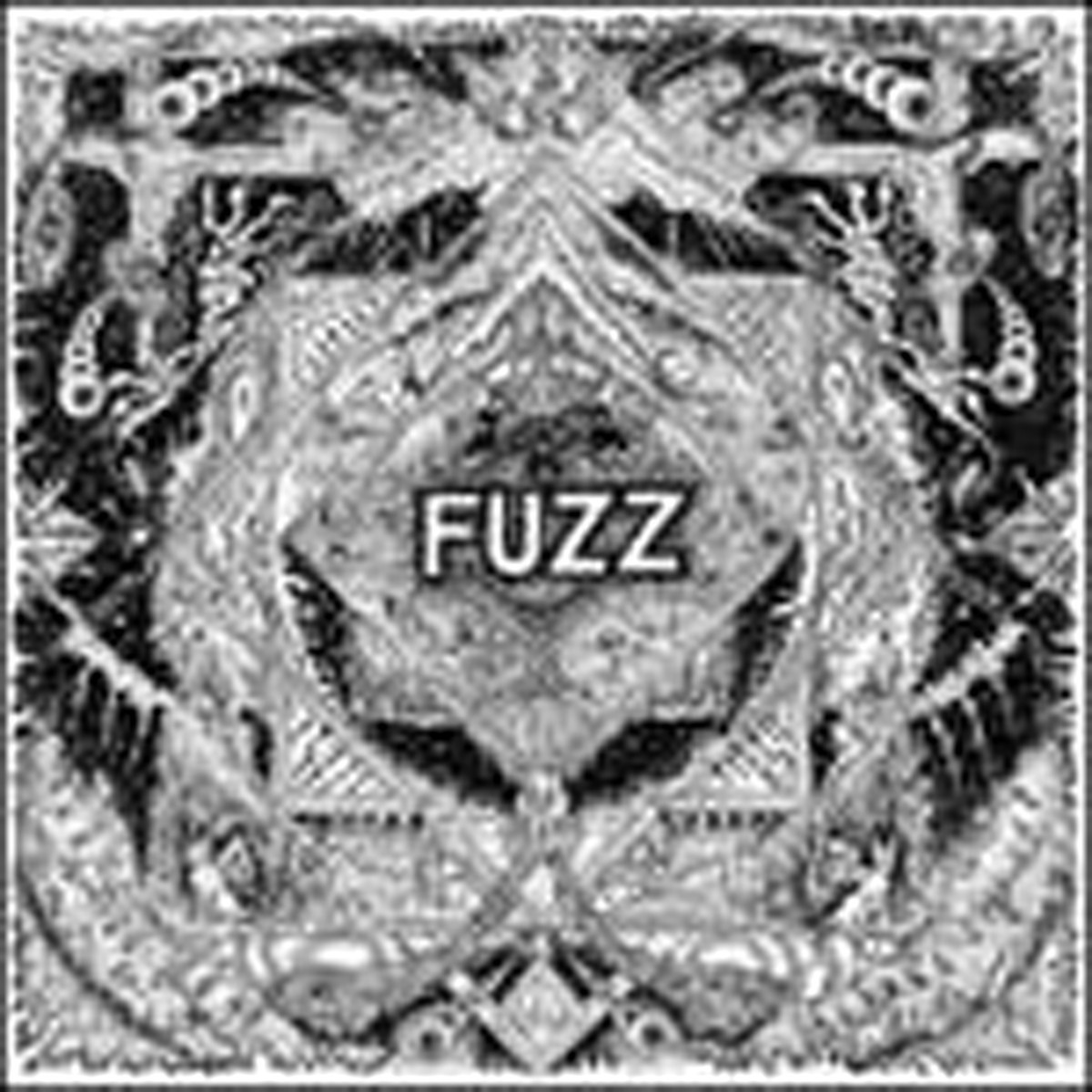 Fuzz - II