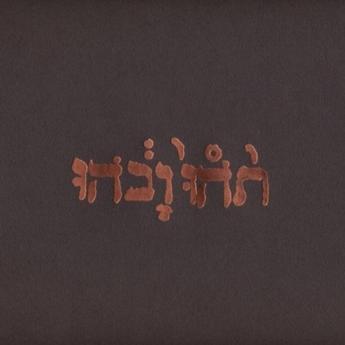 Godspeed You! Black Emperor - Slow Riot For New Zerø Kanada E.P.