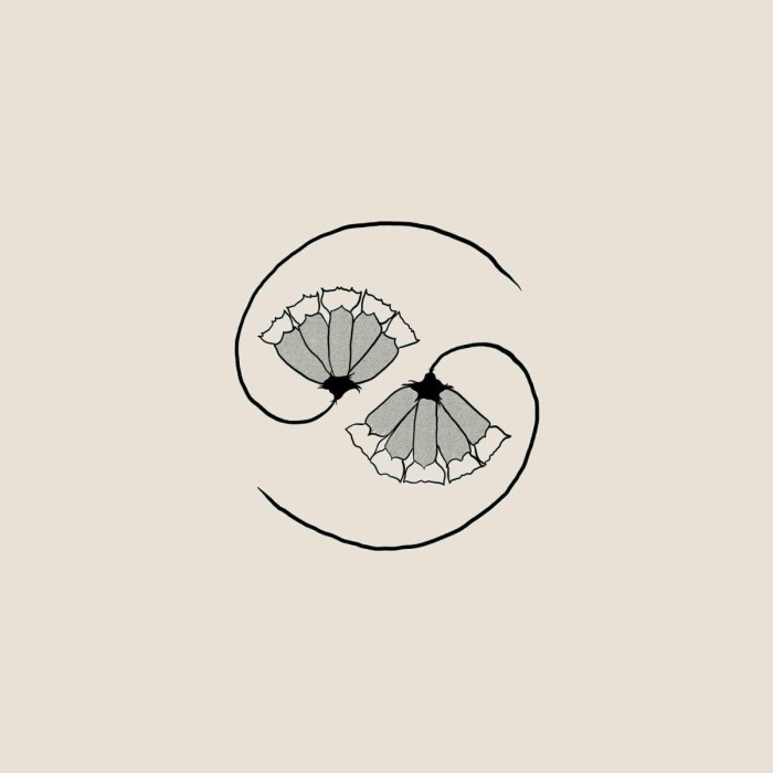 Godspeed You! Black Emperor - GD's Pee At State's End!