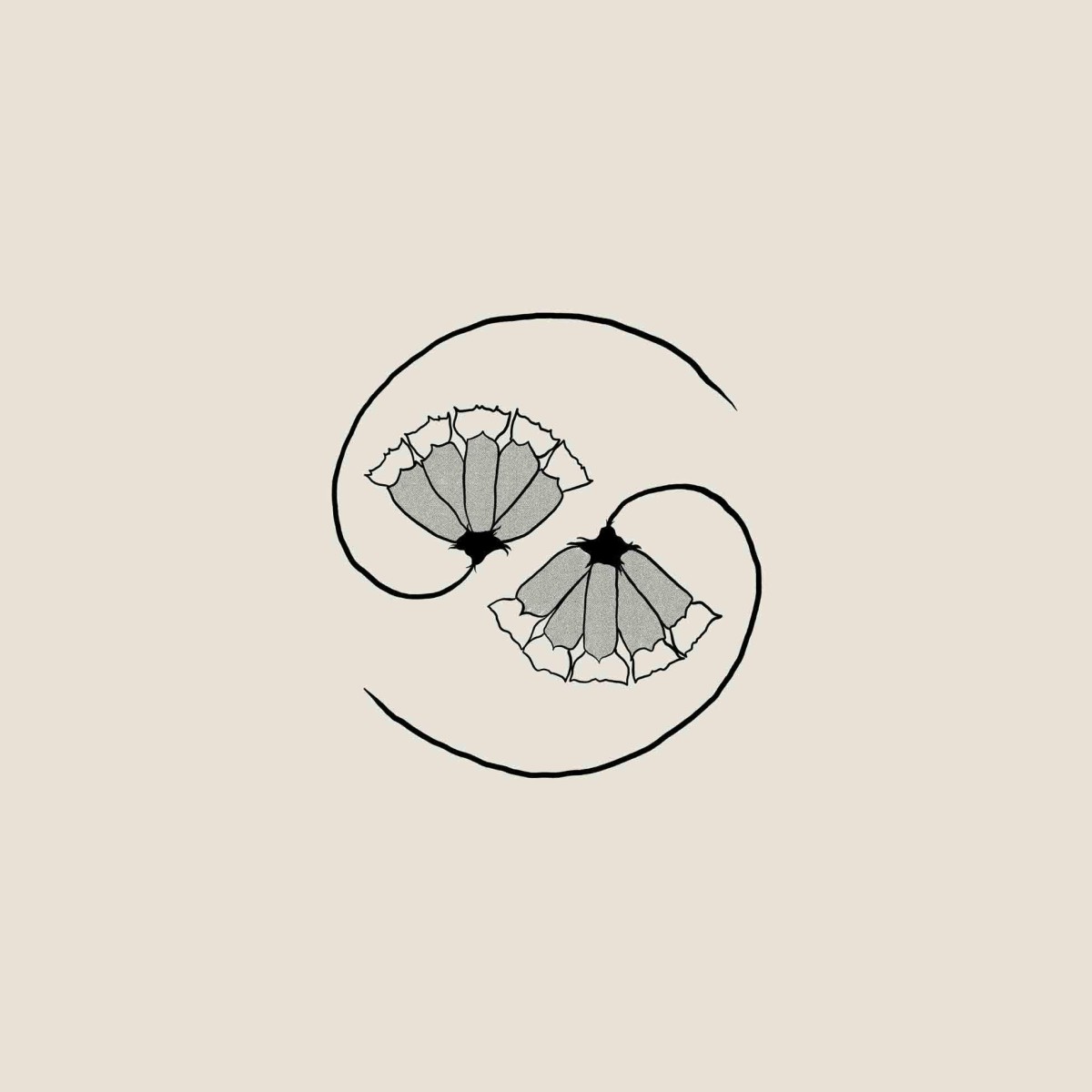 Godspeed You! Black Emperor - GD's Pee At State's End!