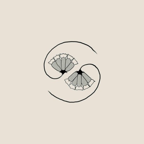 Godspeed You! Black Emperor - GD's Pee At State's End!