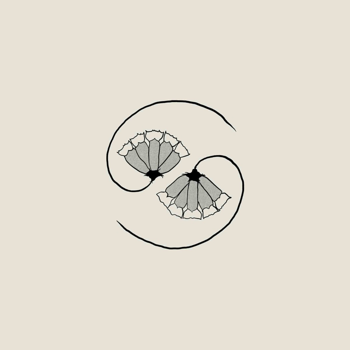 Godspeed You! Black Emperor - GD's Pee At State's End!