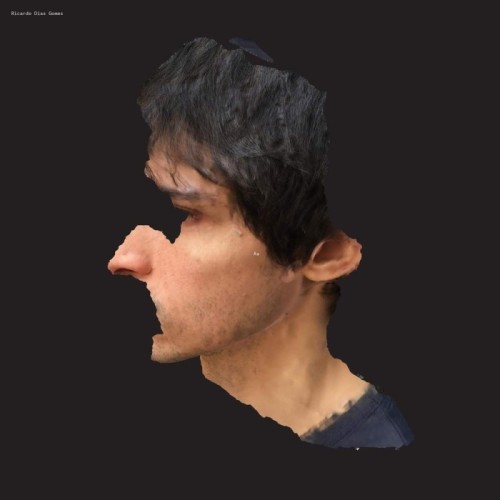 Ricardo Dias Gomes - Aa