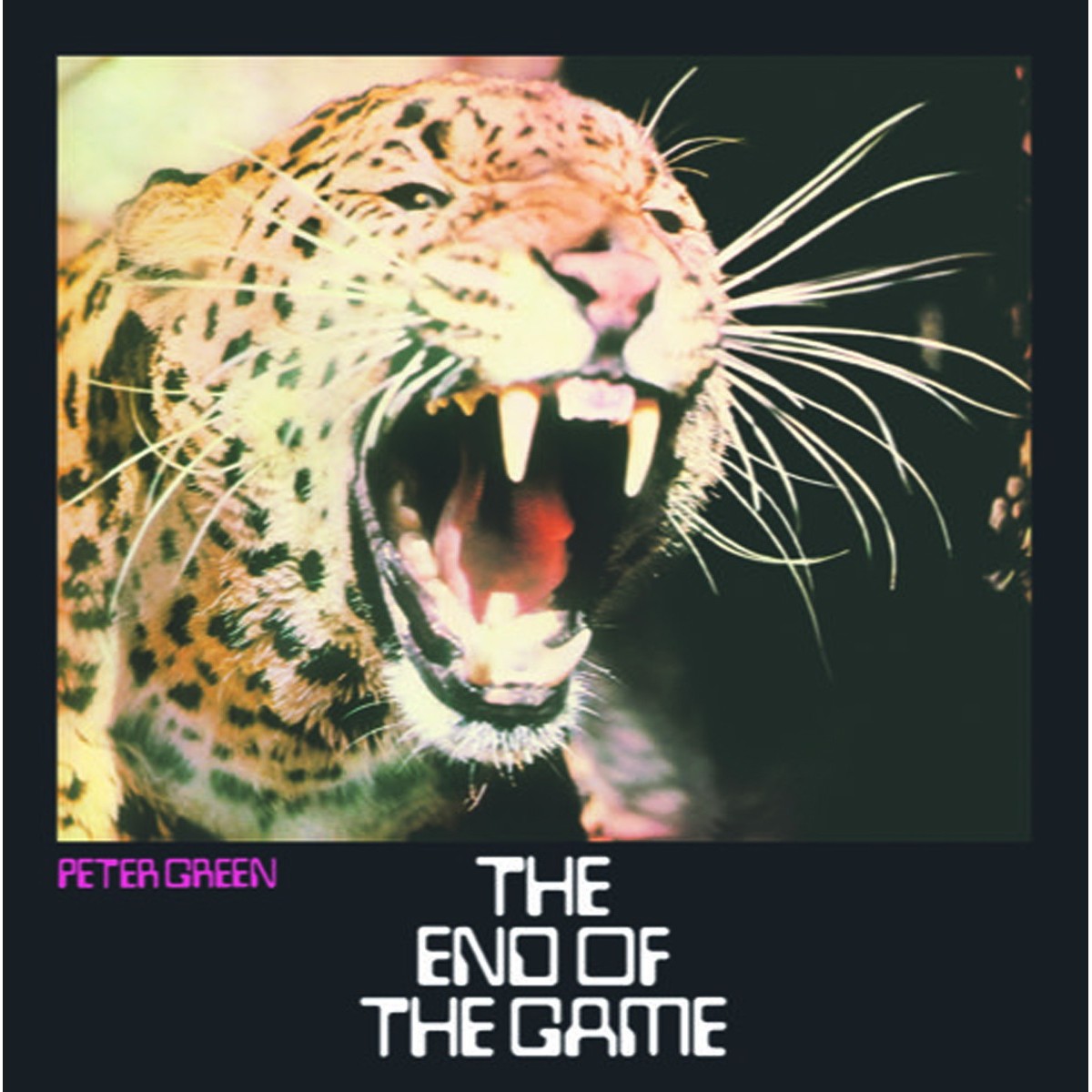 Peter Green - End Of The Game (White Vinyl)