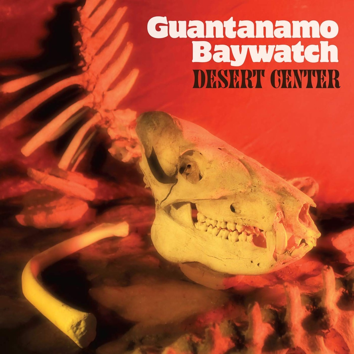Guantanamo Baywatch - Desert Center (Amber Vinyl)