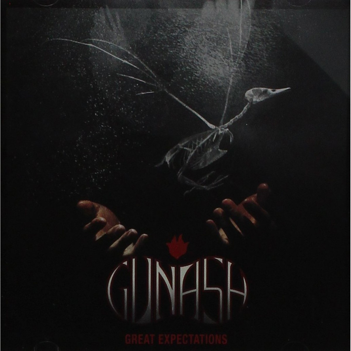 Gunash - Great Expectations