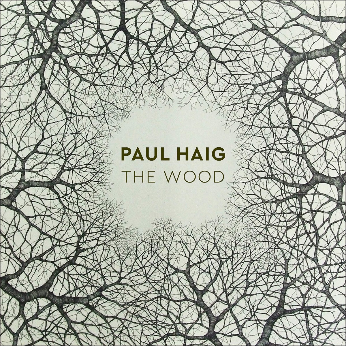 Paul Haig - Wood