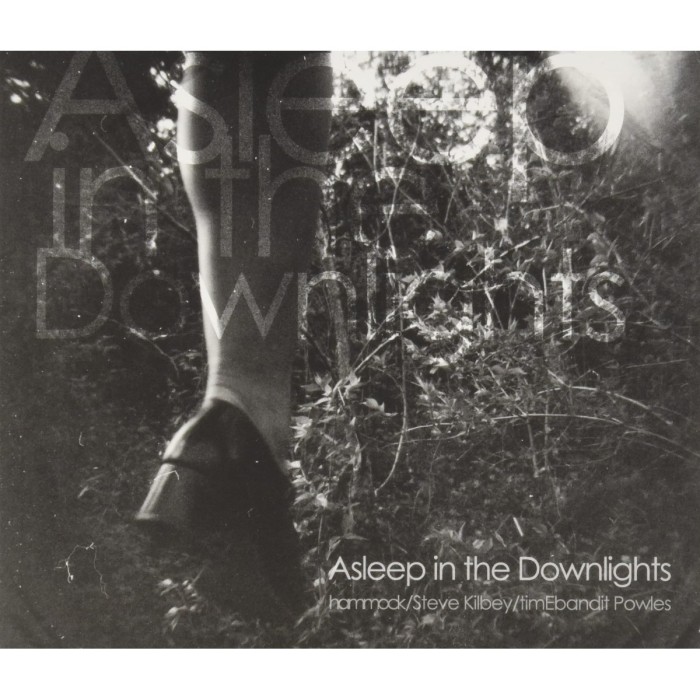 Hammock - Asleep In The Downlights
