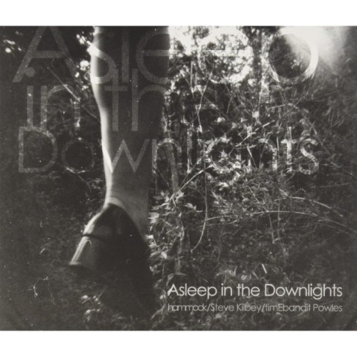 Hammock - Asleep In The Downlights