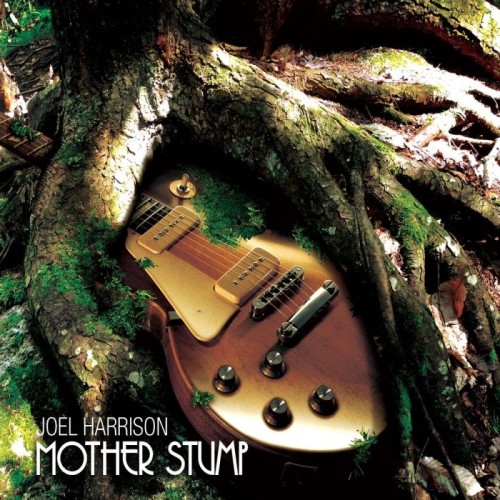 Joel Harrison - Mother Stump