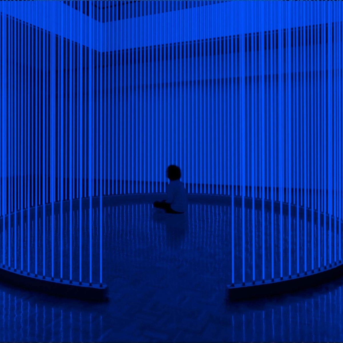 Steve Hauschildt - S/H