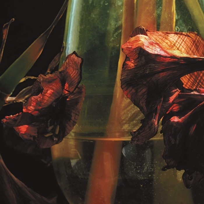 Hayvanlar Alemi - Psychedelia In Times Of Turbulence