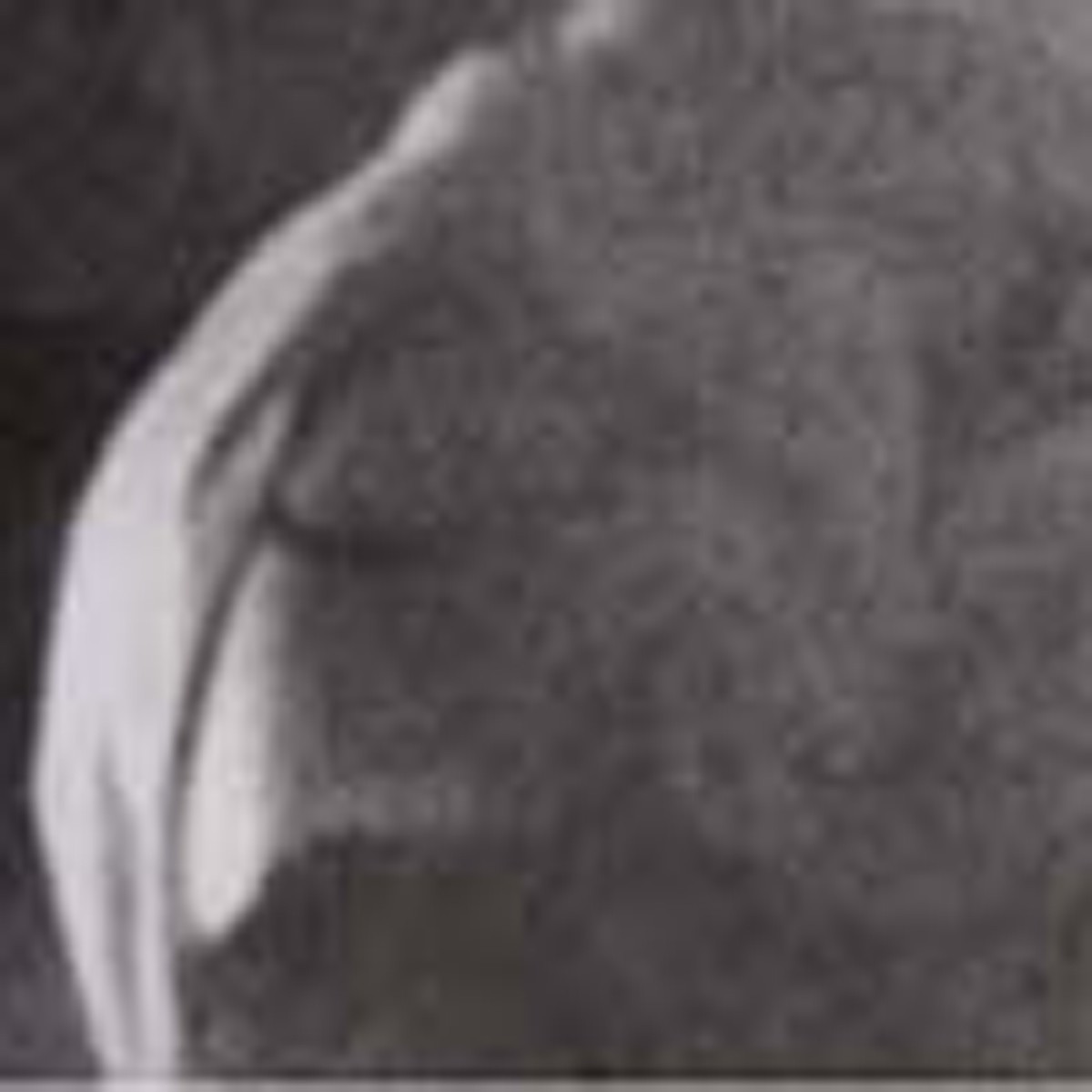 Heavy Winged - Sunspotted