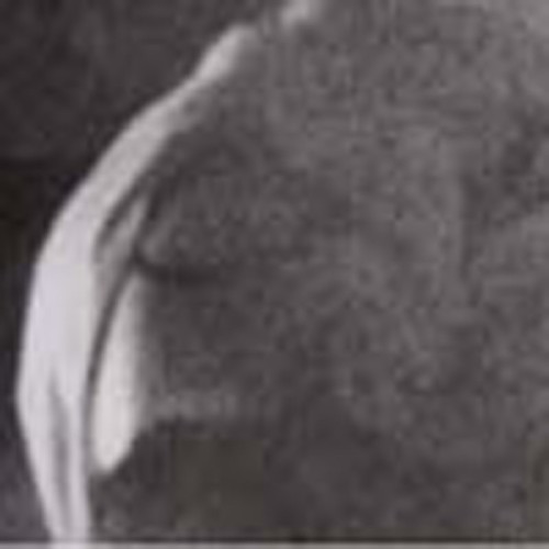 Heavy Winged - Sunspotted