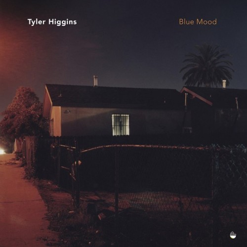 Tyler Higgin - Blue Mood