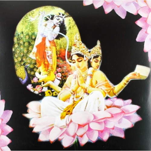 High Wolf - Atlas Nation