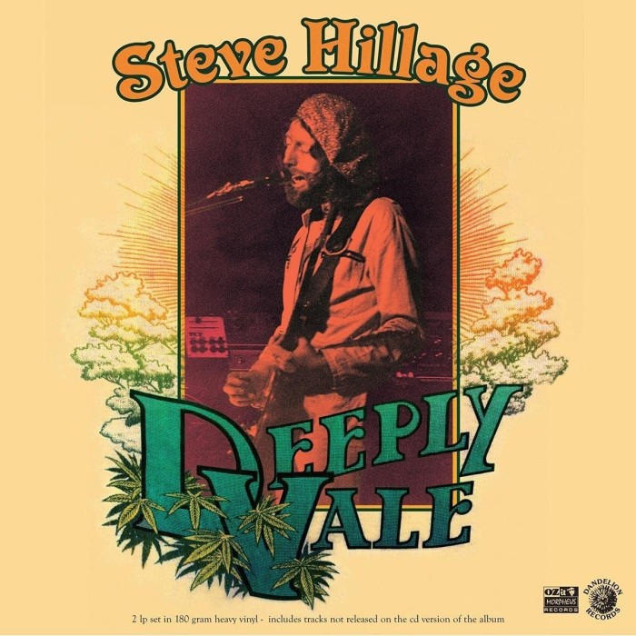 Steve Hillage - Deeply Vale