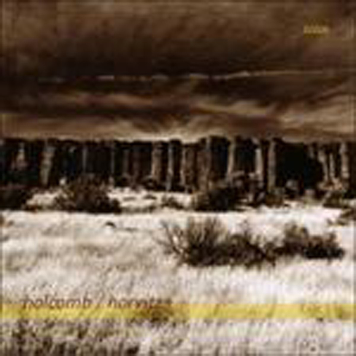 Robin Holcomb & Wayne Horvitz - Solos