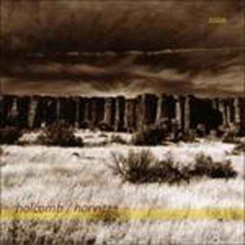 Robin Holcomb & Wayne Horvitz - Solos