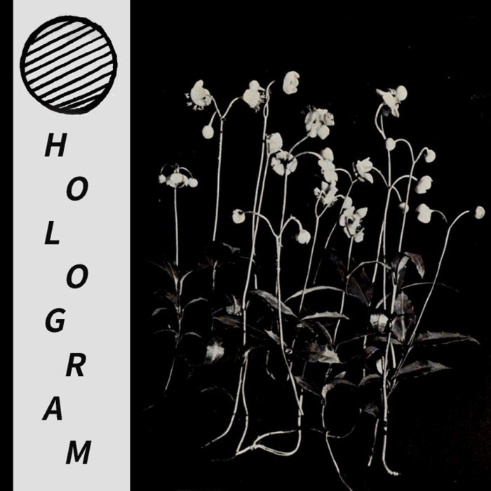 Hologram - Build Yourself Up So Many Times Only To Be Brought Down Again And Again