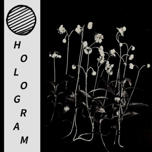 Hologram - Build Yourself Up So Many Times Only To Be Brought Down Again And Again