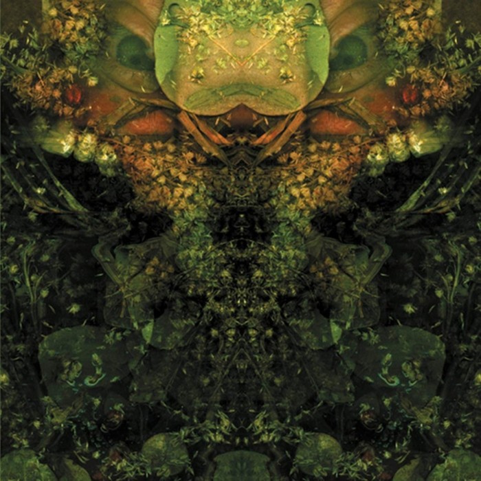 House Of Low Culture - Edward's Lament