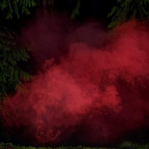 P.A. Hulsenbeck & Michael Schoenheit - Reaping From The Conflux