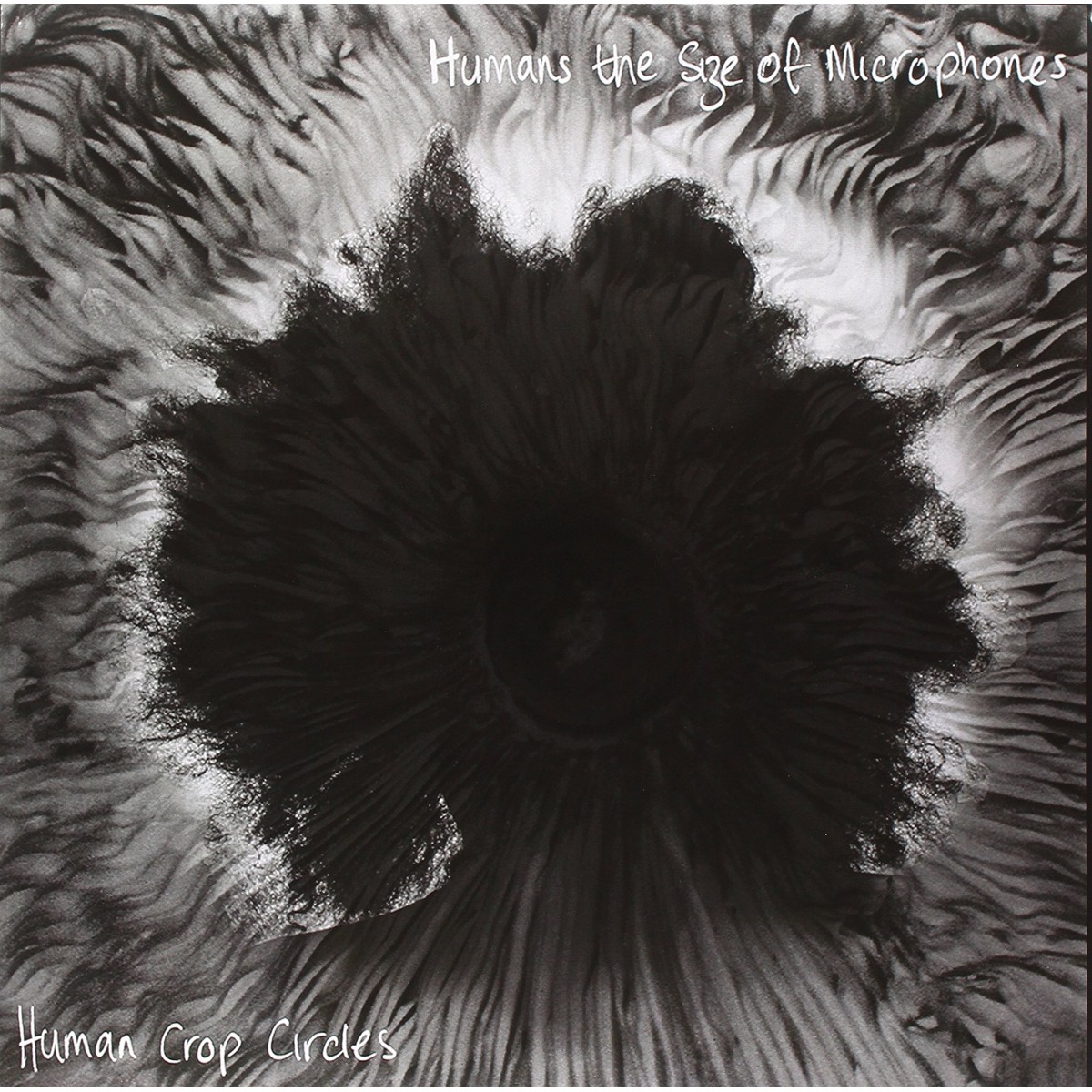 Humans The Size Of Microphones - Human Crop Circles