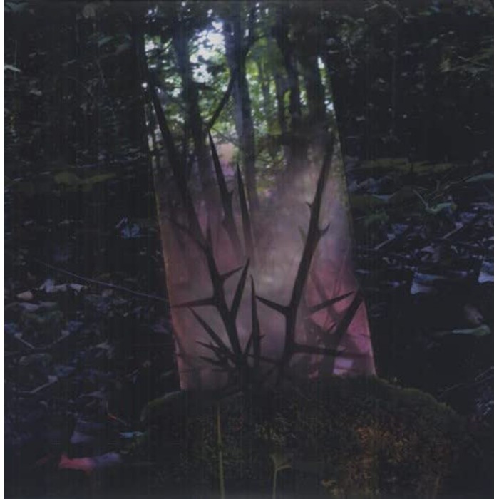 Jensen Sportag - Stealth Of Days