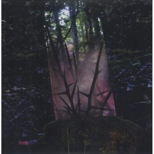 Jensen Sportag - Stealth Of Days