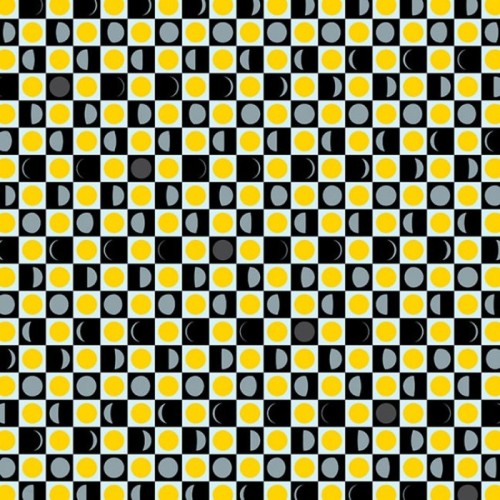 The John-Pauls - Forget To Remember To Forget