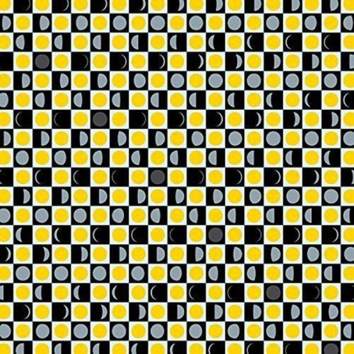 The John-Pauls - Forget To Remember To Forget