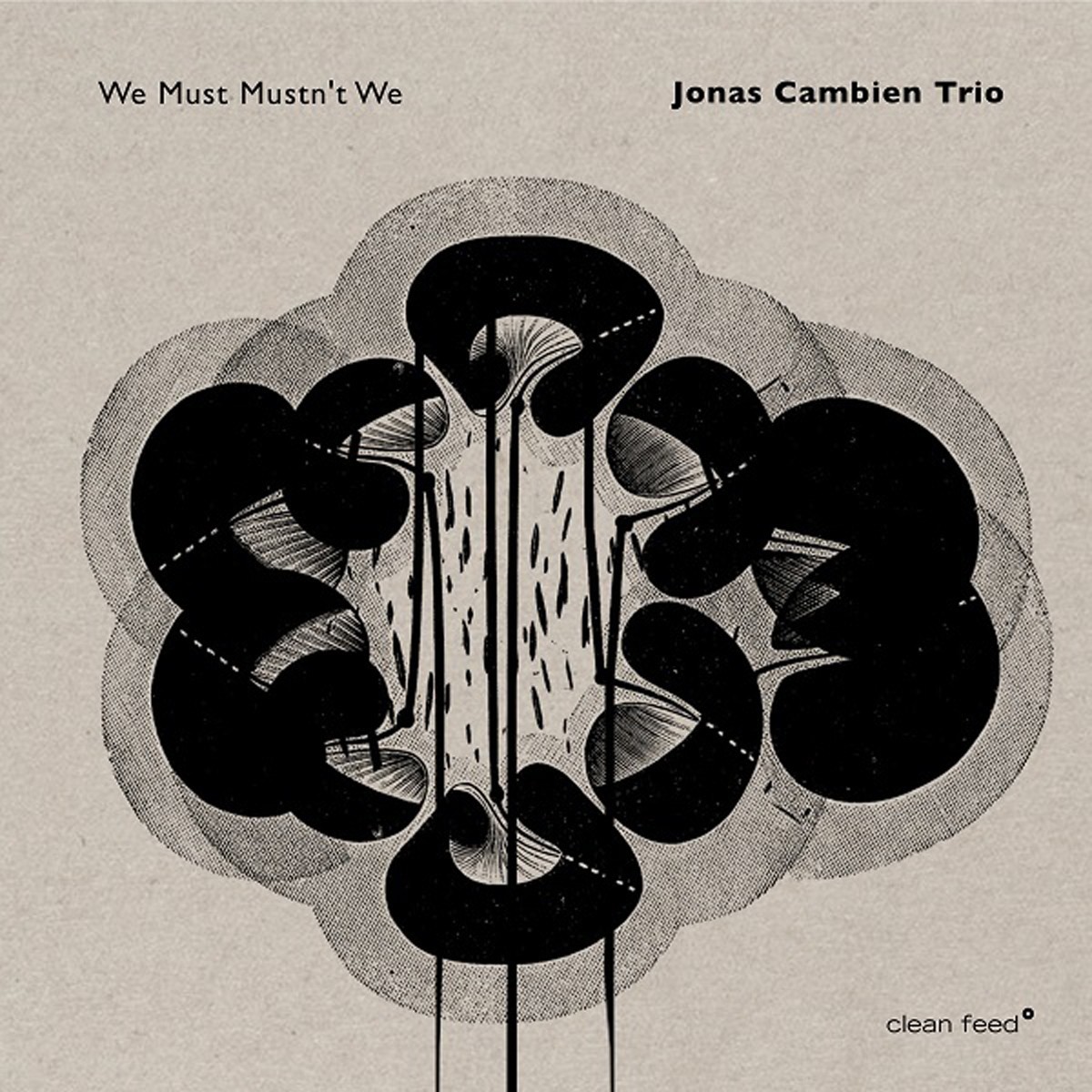 Jonas Cambien Trio - We Must Mustn't We
