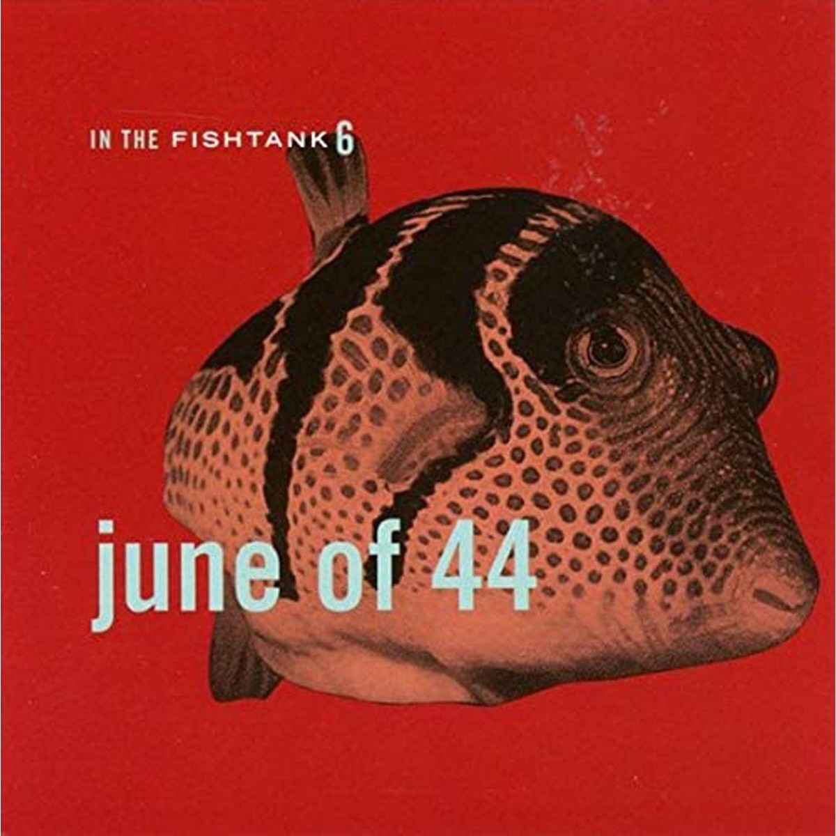 June Of 44 - In The Fishtank