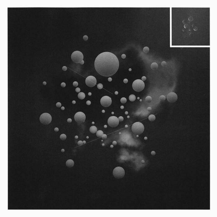 Jung An Tagen - Das Fest Der Reichen